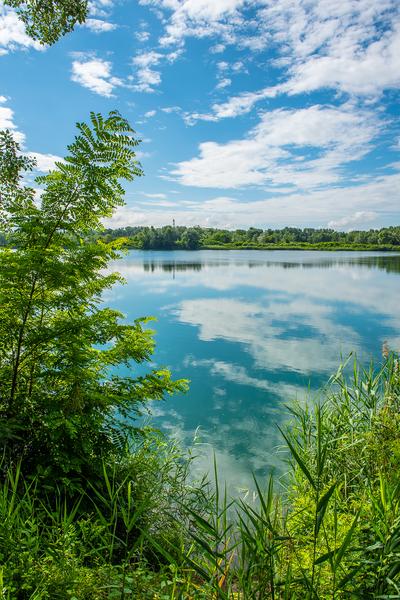 R27 – Circuits de l&rsquo;IIe vieille  – Circuit des guêpiers -. - Mondragon