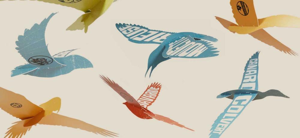 Exposition Plumes & Cie / Atelier In8.