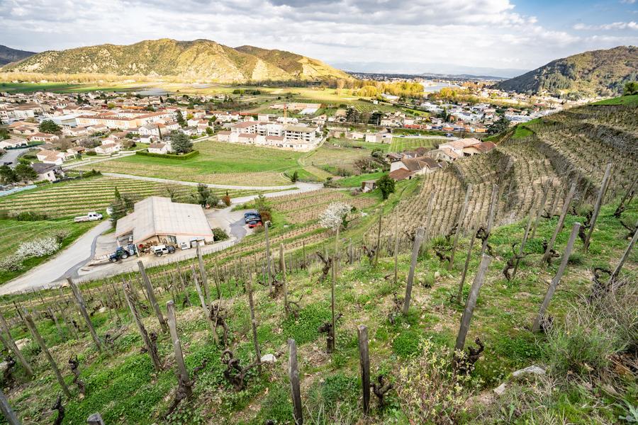 DOMAINE THOMAS FARGE