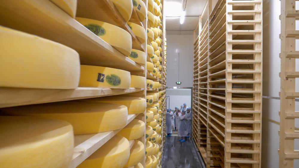 Visite gourmande : Comté moi le Valromey, visite découverte de la Fruitière du Valromey_Arvière-en-Valromey