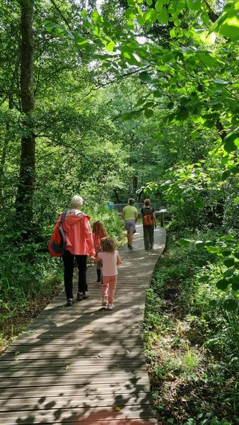 randonnée pédRestre : Marais des Bidonnes et Canal de Crans_Divonne-les-Bains