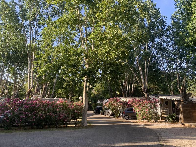 Camping Les Fouguières_Carcès