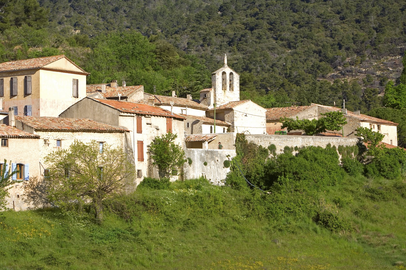 Vitolles en  Luberon