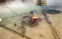 Visite guidée : les techniques de fouilles à Paladru_Villages du lac de Paladru