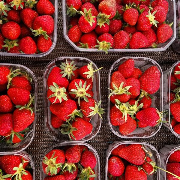 Les vergers d'Hysope_Les Avenières Veyrins-Thuellin