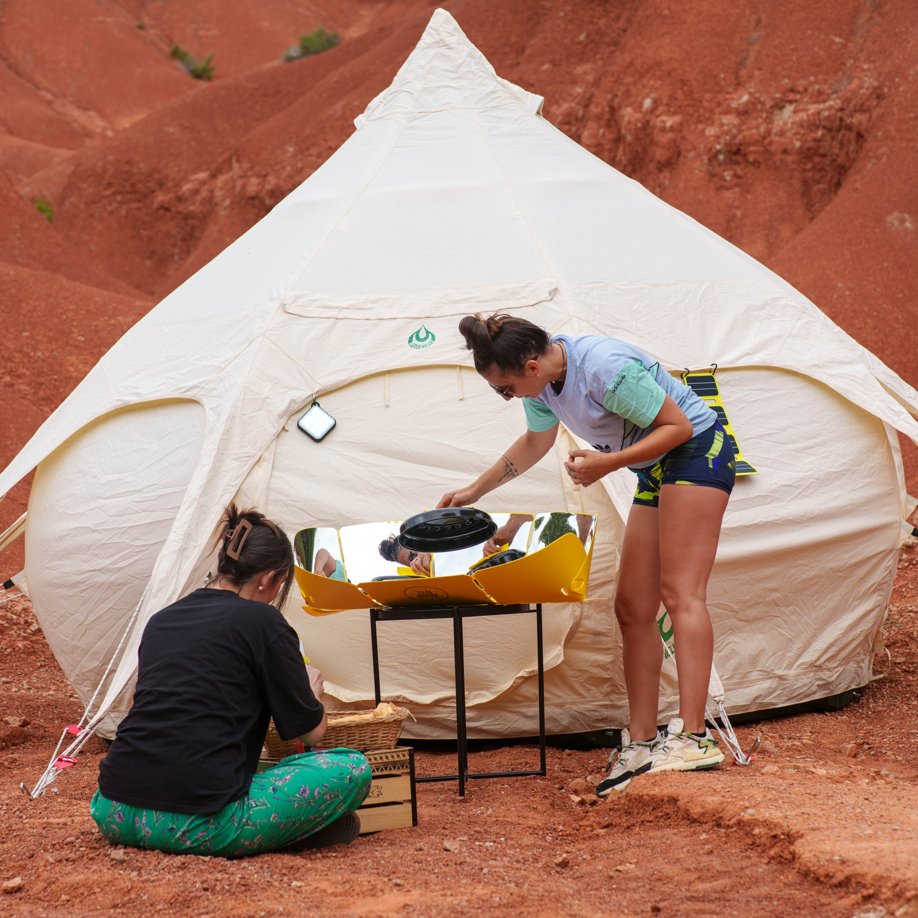 Aurae Cocoon - photo 5