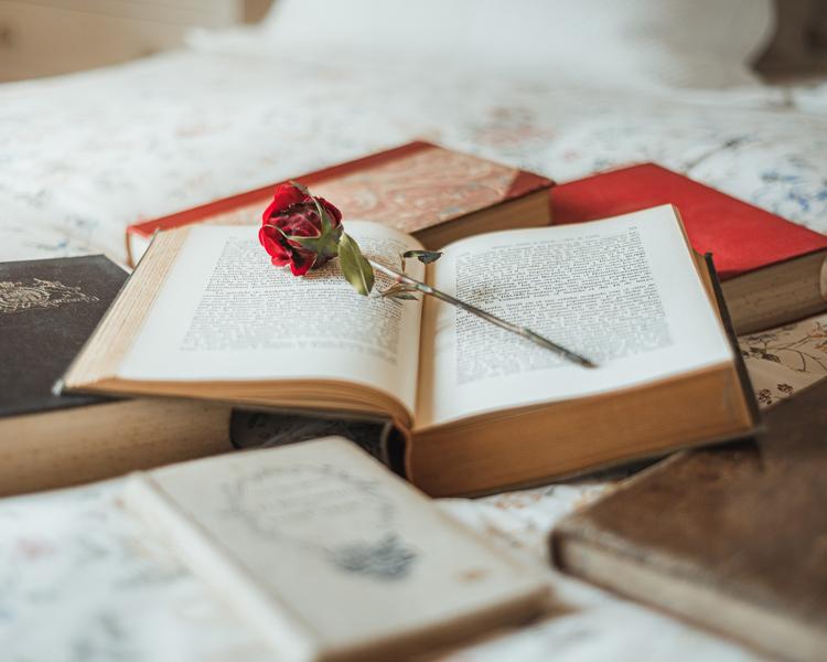 http://Conférence%20sur%20les%20nouvelles%20littératures%20(Young%20Adults,%20New%20Romance,%20Romantasy…)