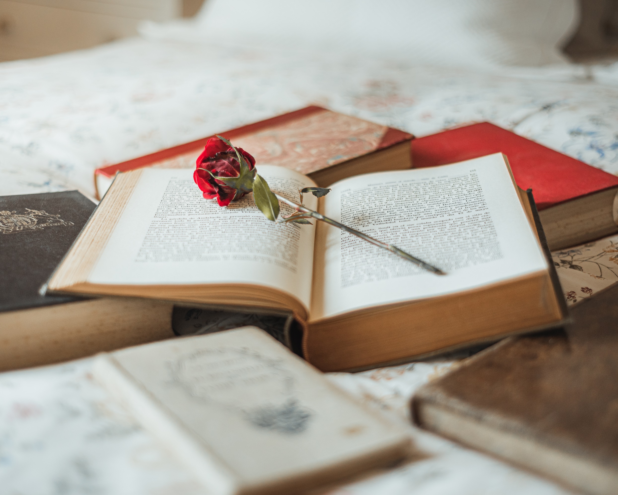 Conférence sur les nouvelles littératures (Young Adults, New Romance, Romantasy…)_Ferney-Voltaire