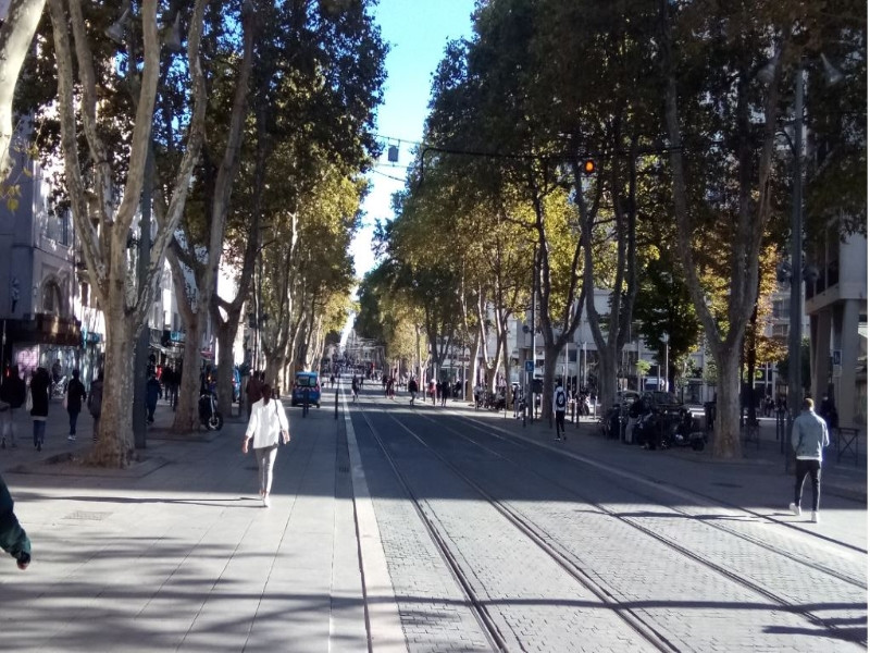 Le cours Belsunce et le cours Saint-Louis
