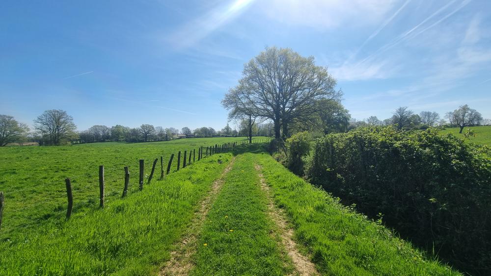Liaison VTT (L4) St Trivier de Courtes - Ferme de la Forêt_Saint-Trivier-de-Courtes
