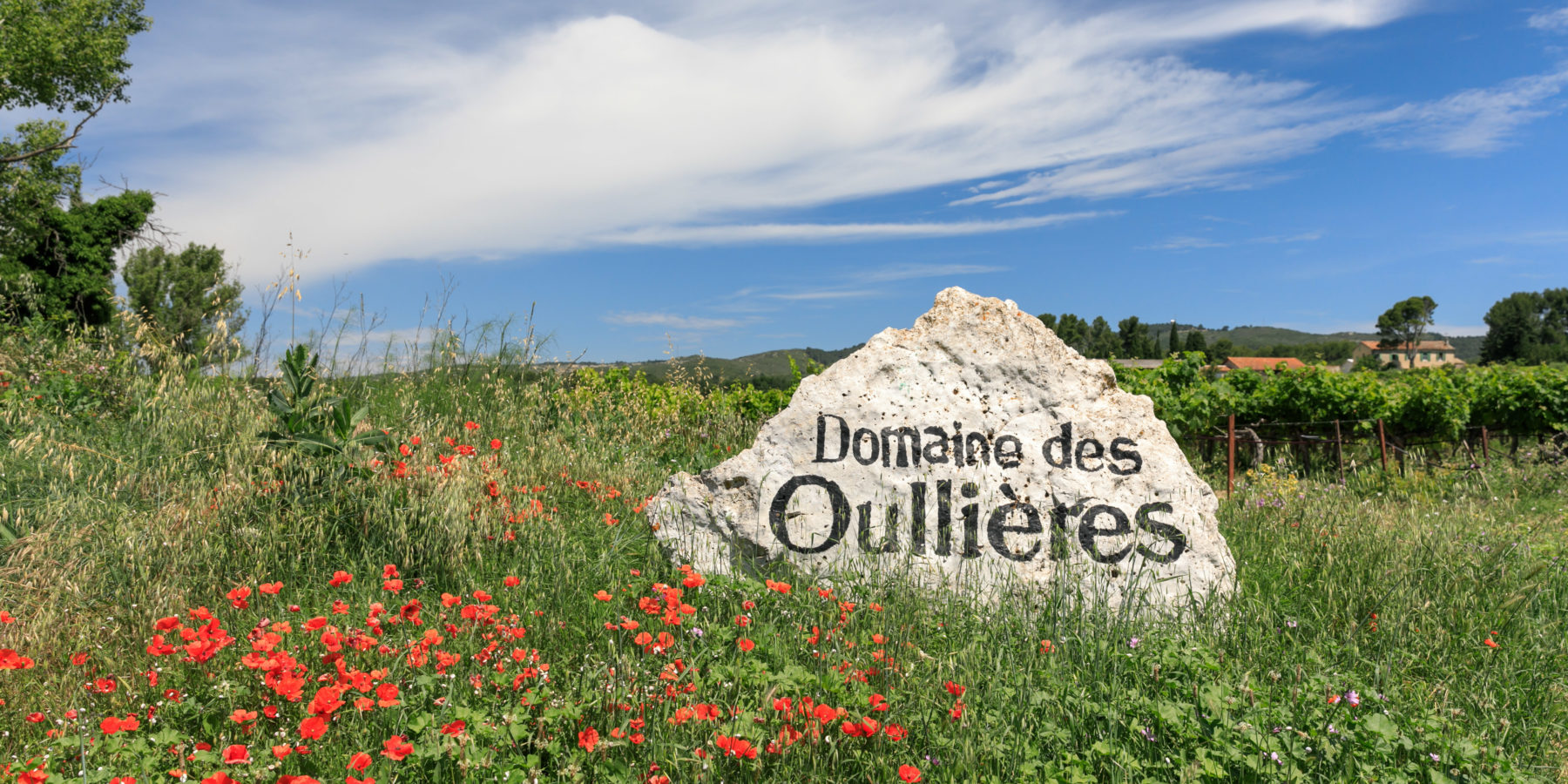 Domaine des Oullières — photo 2