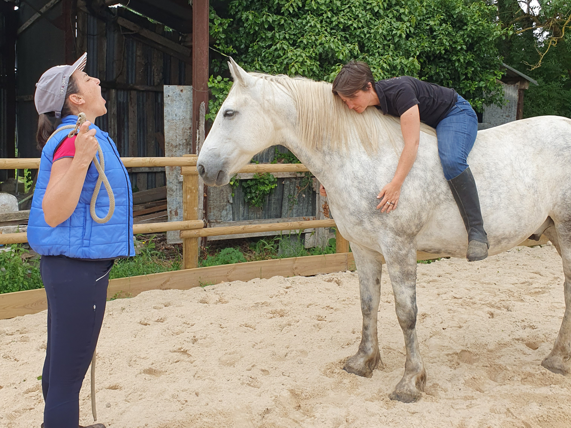 Théâtre - Chevales