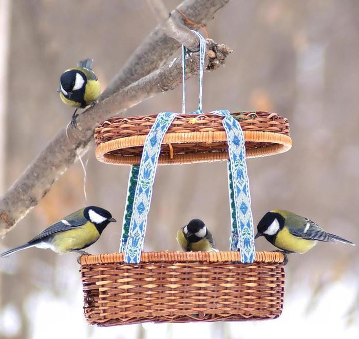 La Maison des Oiseaux, Gémenos - photo 19