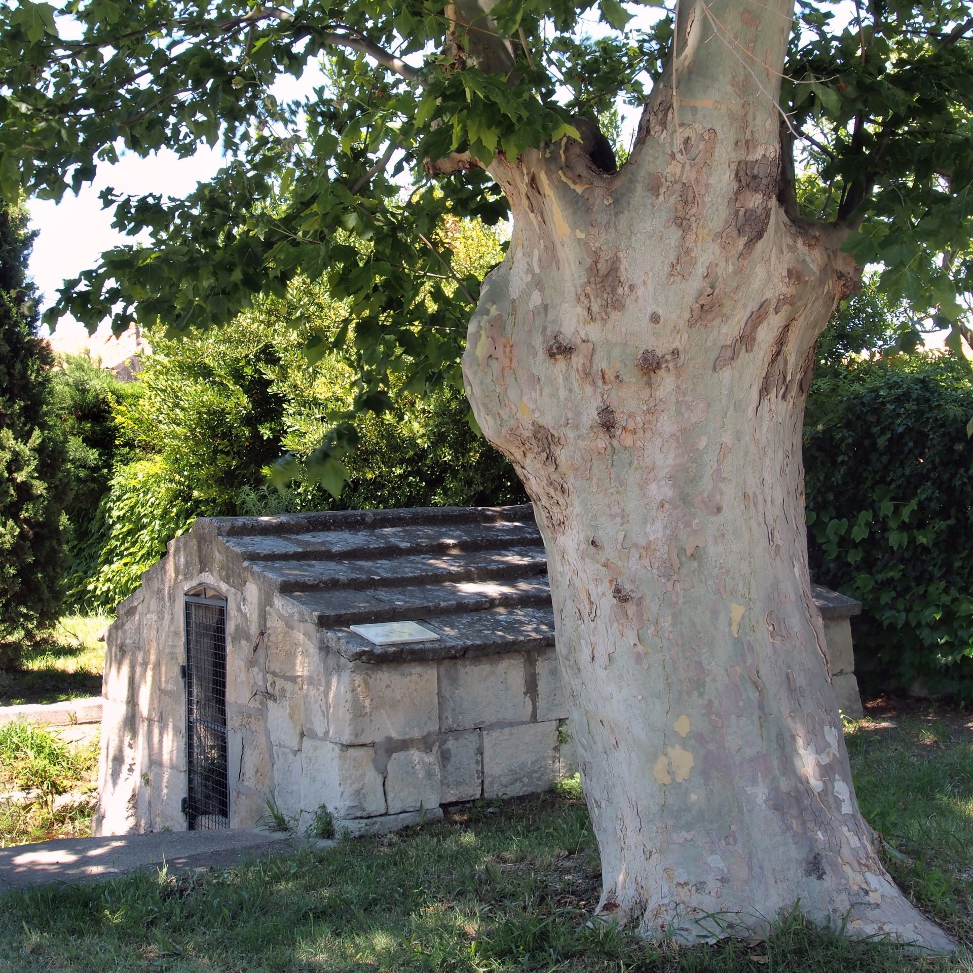 Vieille Font