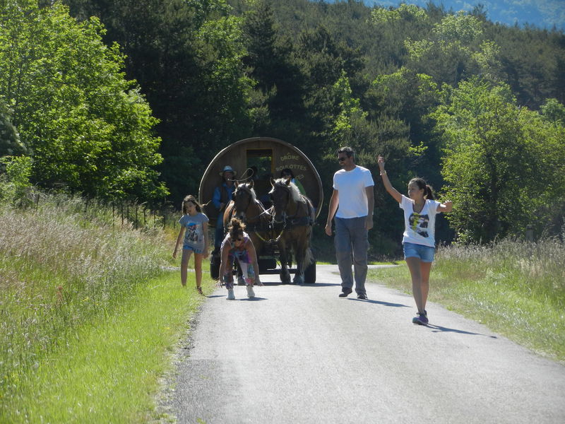 Roulotte itinérantes