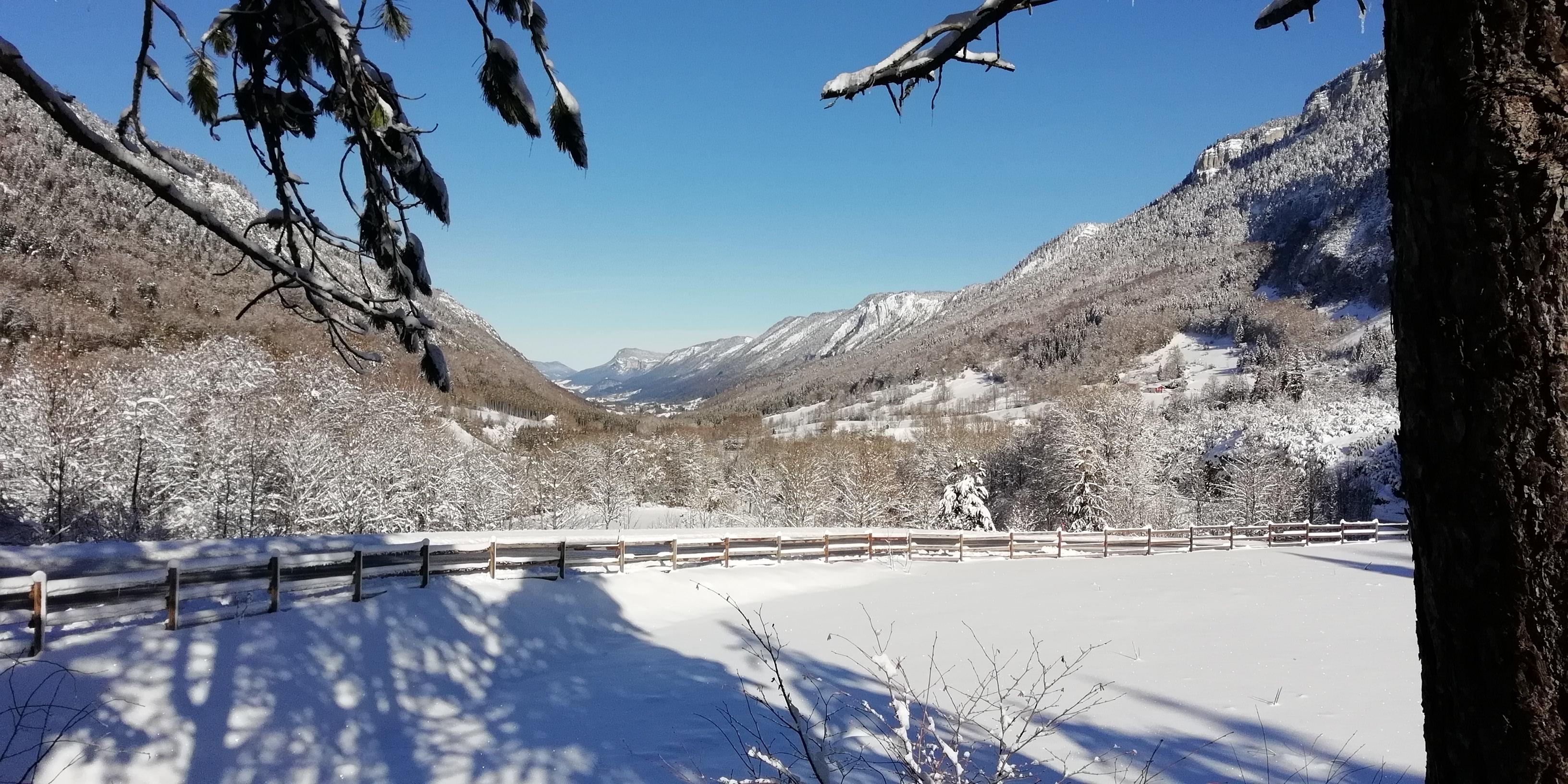 5 - Vue au loin en hiver