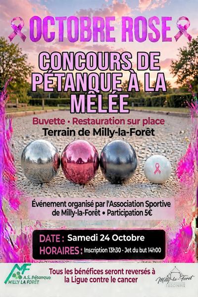 Octobre rose u2013 concours de pu00e9tanque solidaire_Milly-la-Foru00eat