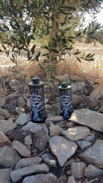 Les Oliviers de Maurice_Mondragon