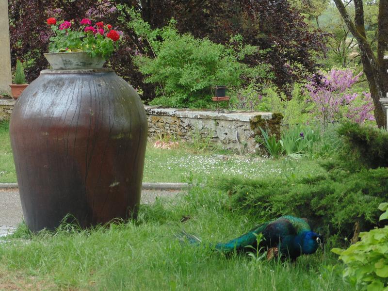 Le Clos Dauphin à La Balme les Grottes - Balcons du Dauphiné - Isère