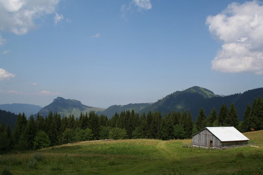 Circuit trail Source du Brevon Petetoz