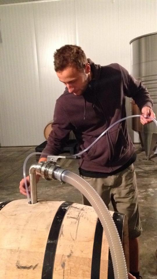 le vigneron dans sa cave