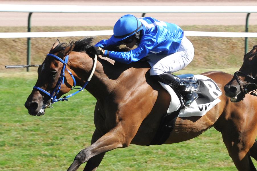 Courses de galop à l'Hippodrome de Vichy-Bellerive