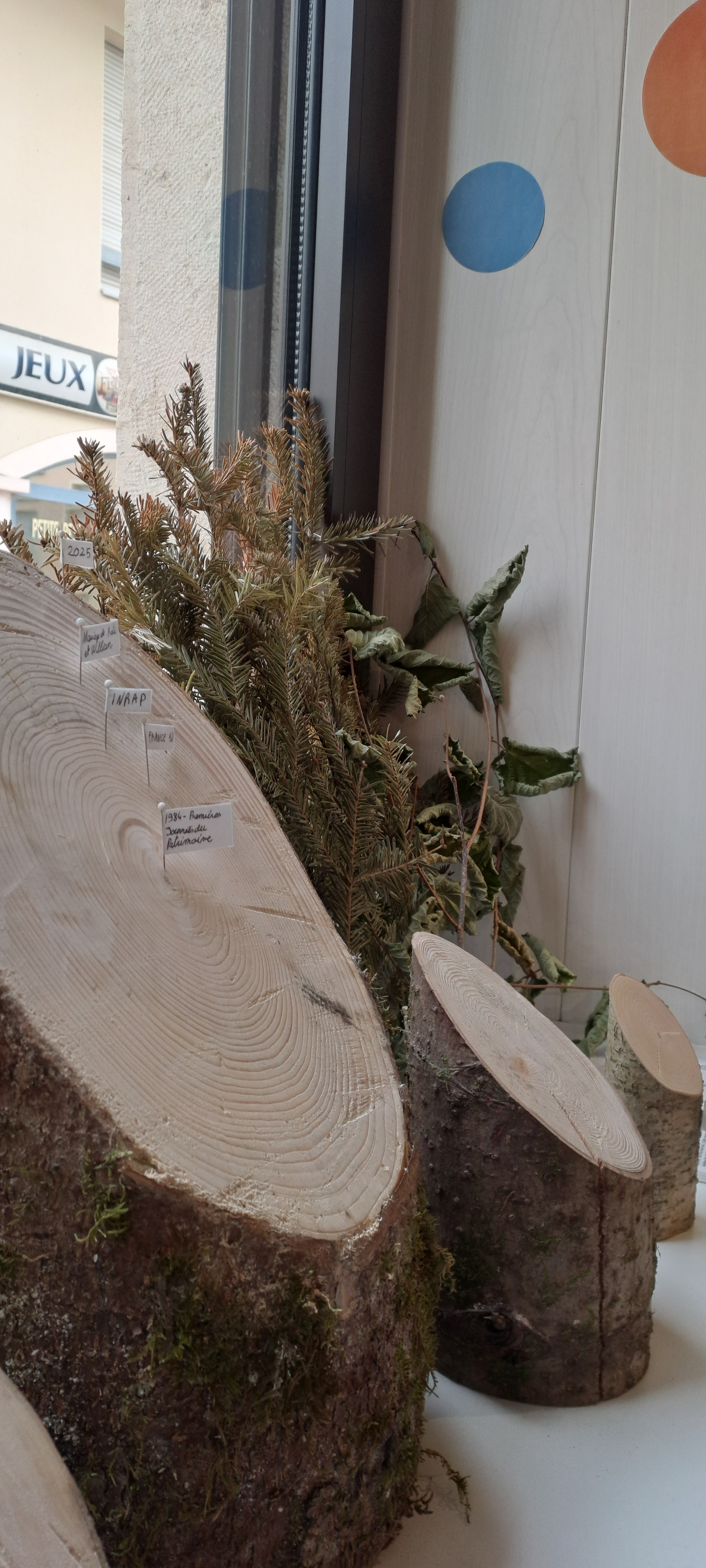 Apéro’Archéo : Du bois et des hommes_Izernore