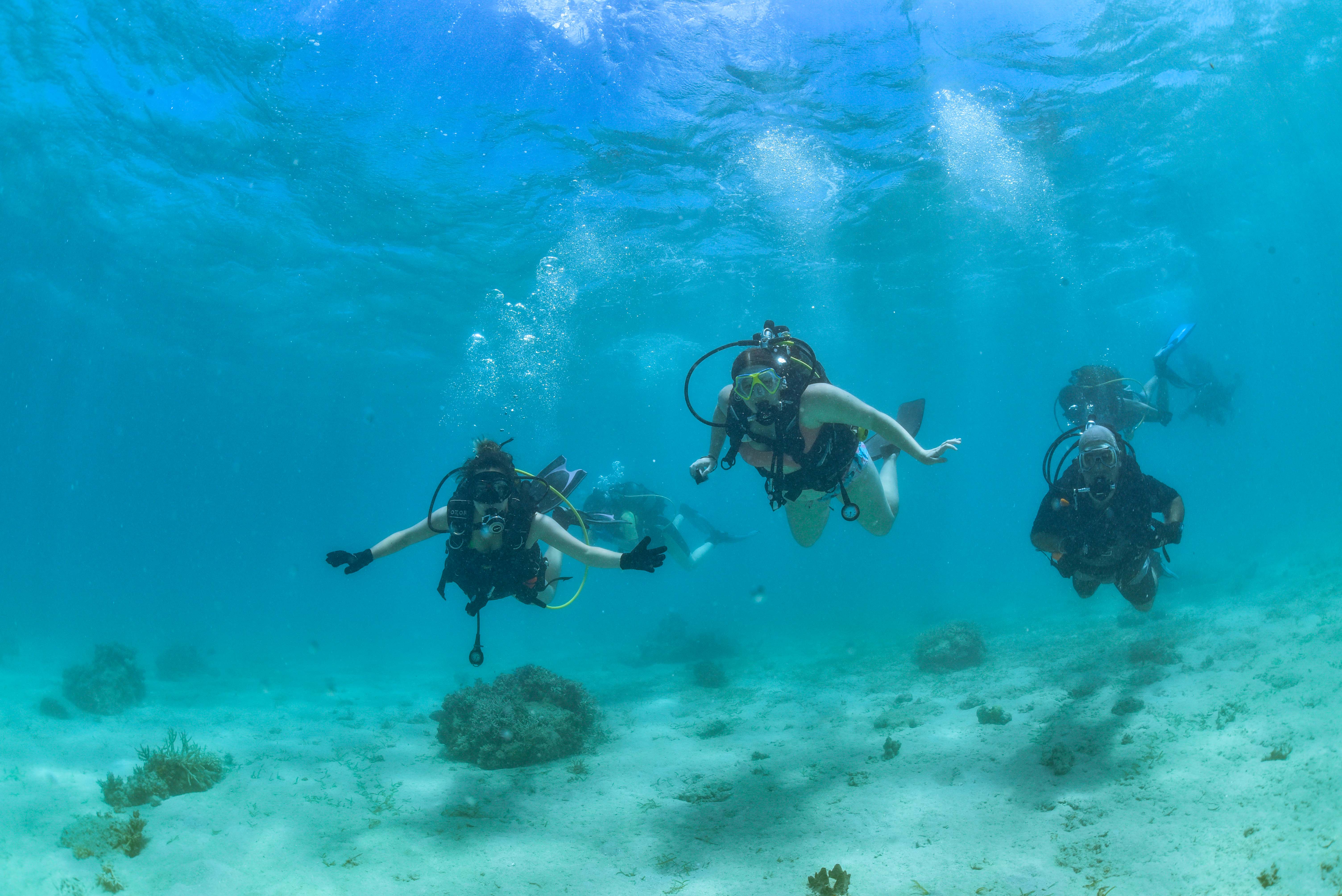 La plongée sous-marine, un nouvel outil thérapeutique - Nouvelle-Calédonie  la 1ère