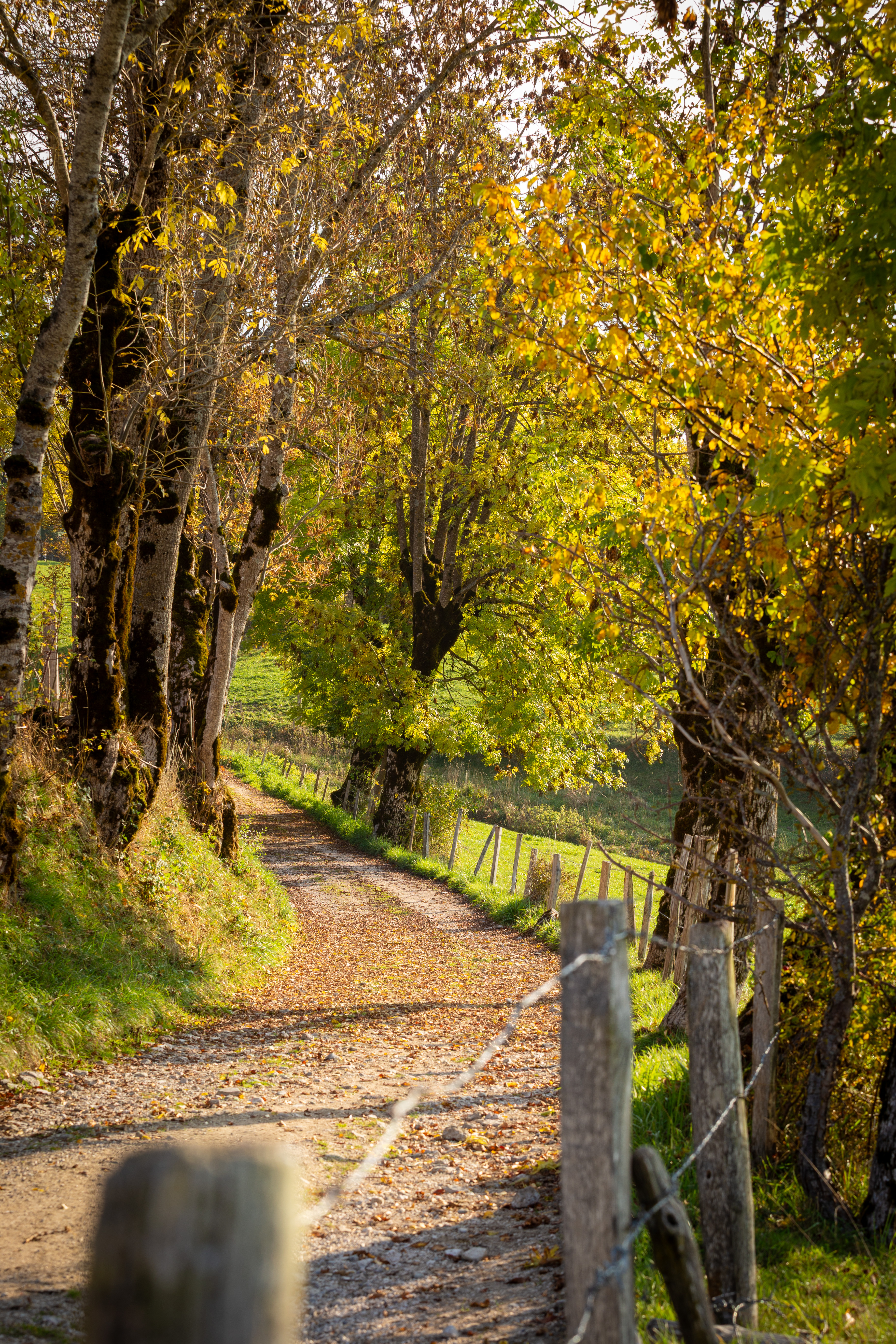 photosFeed-https://static.apidae-tourisme.com/filestore/objets-touristiques/images/98/21/43259234.jpg