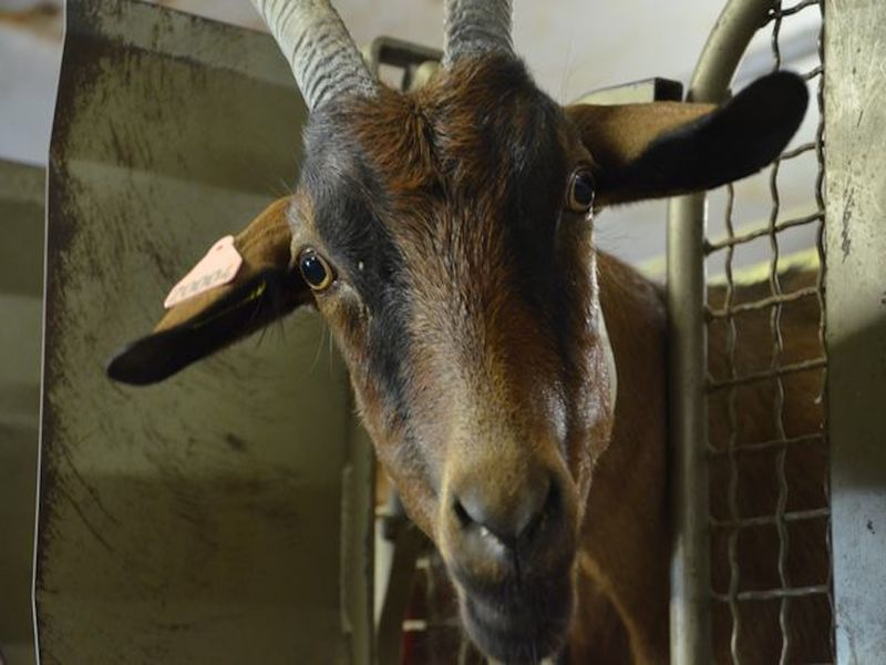 Boutique Grand Réal