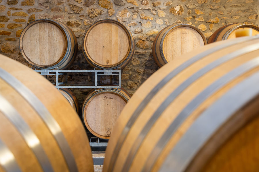 Visite dégustation au Château Vert à La Londe les Maures