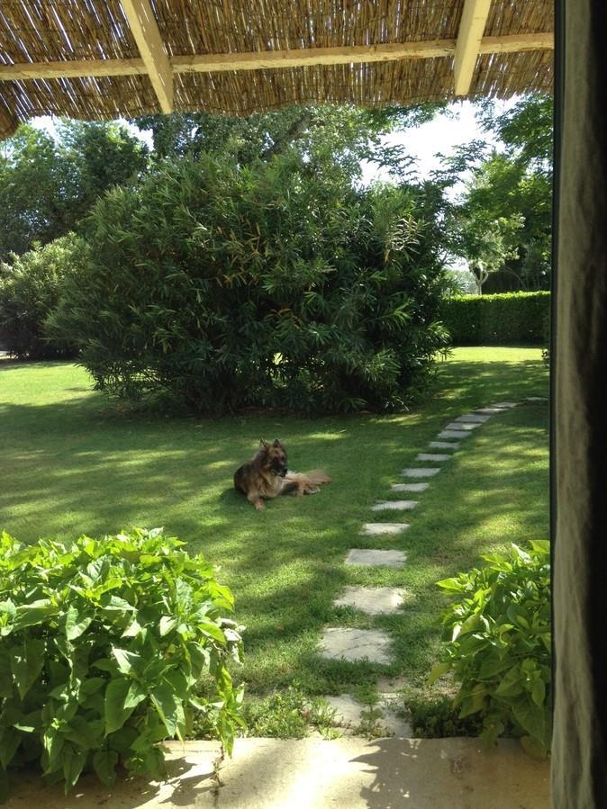 Le Pigeonnier, Arles - photo 13