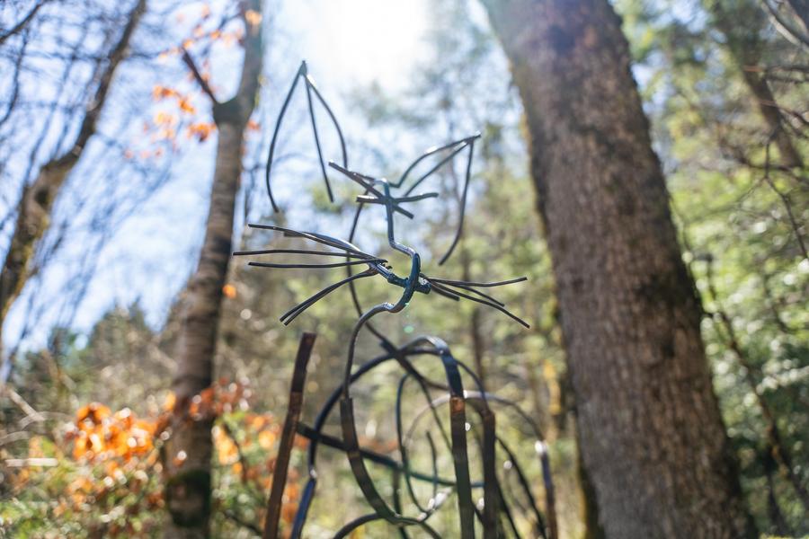 Le sentier des étoiles_Aillon-le-Jeune