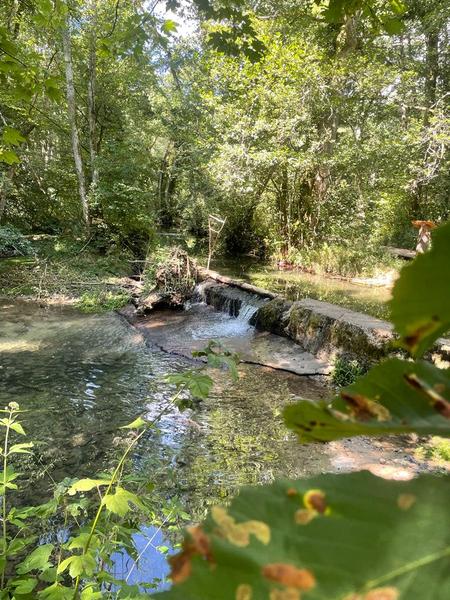 Randonnée pédestre : Marais des Bidonnes et Canal de Crans_Divonne-les-Bains