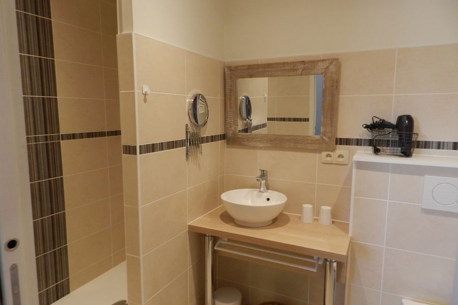 Salle d'eau grenouille