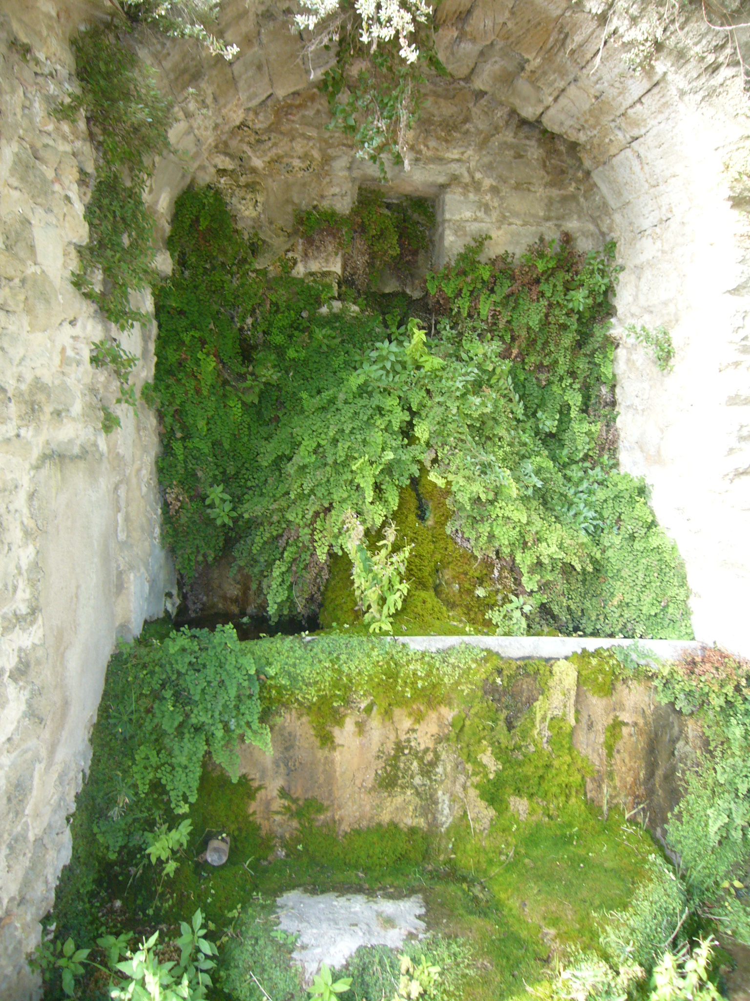 Autichamp