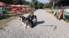 Passion Dog 04_Castellane