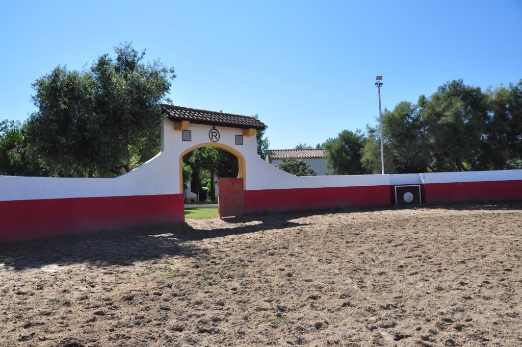El Rocio 1, Saintes-Maries-de-la-Mer - photo 15