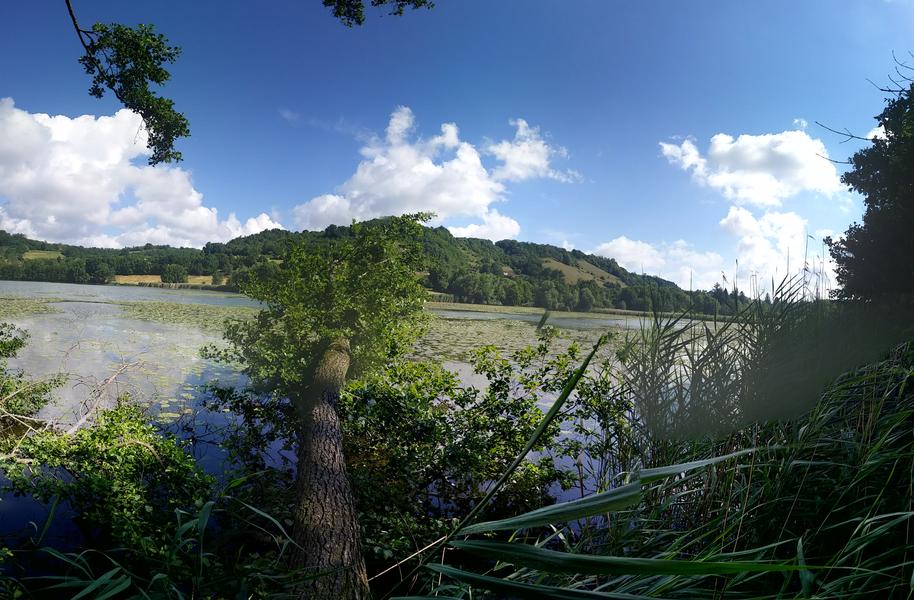 Découverte de létang de Montjoux, Espace Naturel Sensible