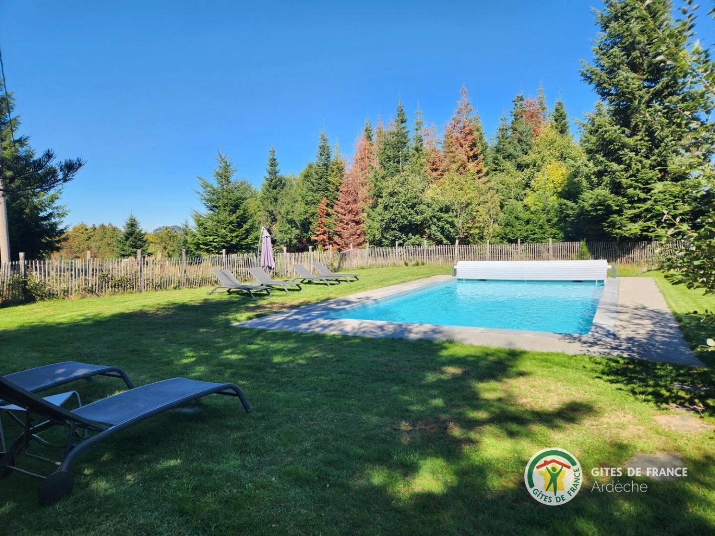 Piscine avec vue forêt