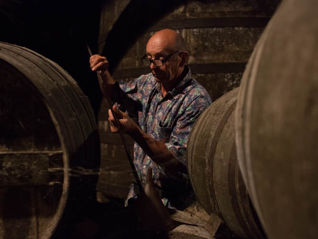 Le temps artisan du Cognac | Visite du domaine Giboin