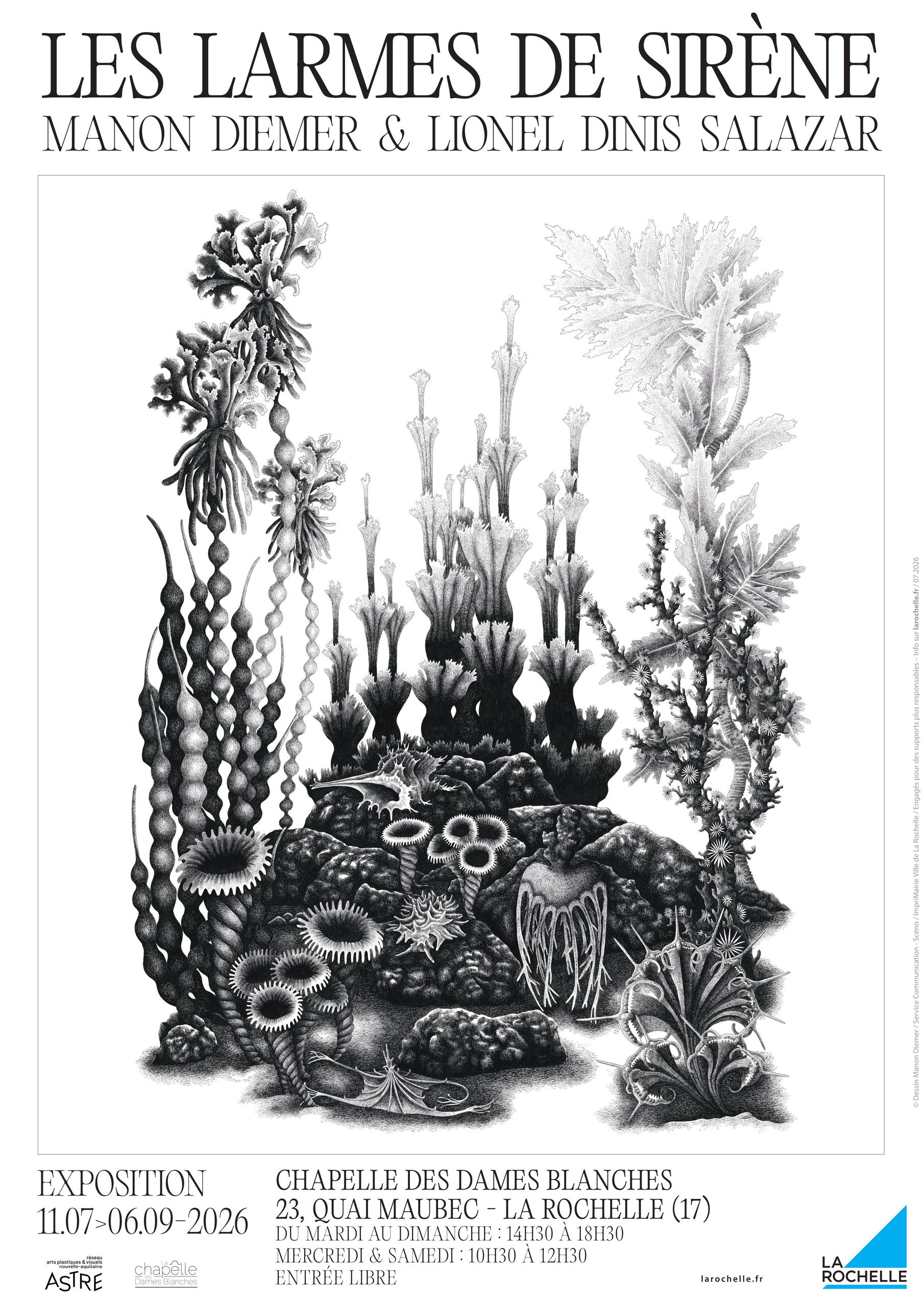 Exposition - Les Larmes de Sirène - Manon Diemer et Lionel Dinis Salazar
