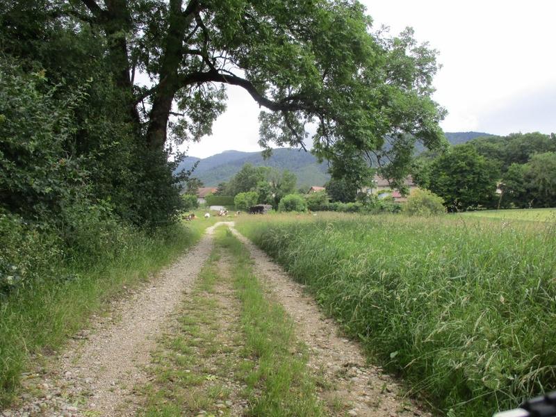 Chemin vélo