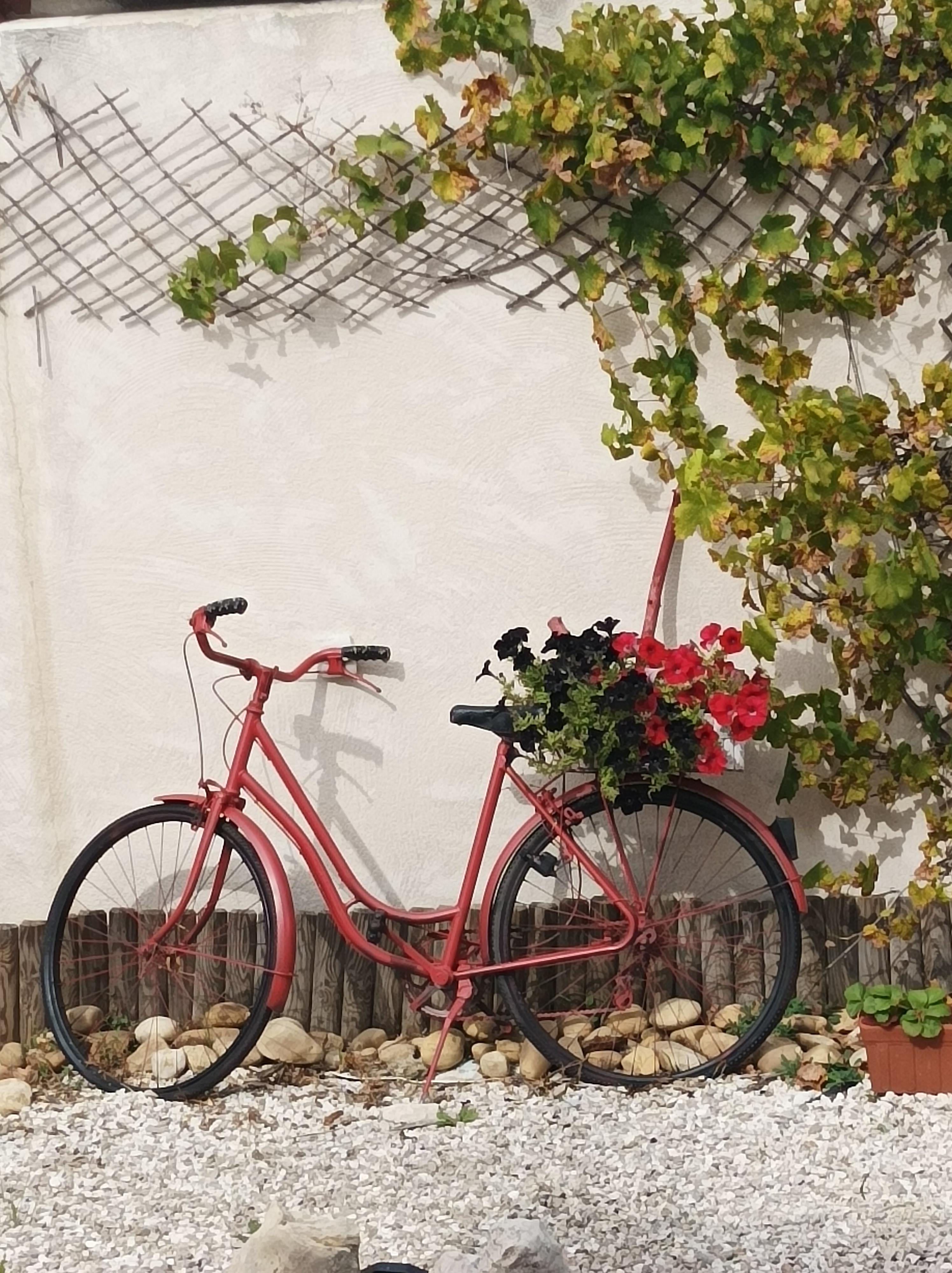 Les Coronilles - Crédit : Les Coronilles_Saint-Maximin-la-Sainte-Baume