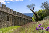 Château de Grimaud