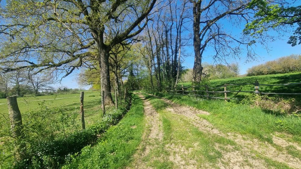 Liaison VTT (L4) St Trivier de Courtes - Ferme de la Forêt_Saint-Trivier-de-Courtes