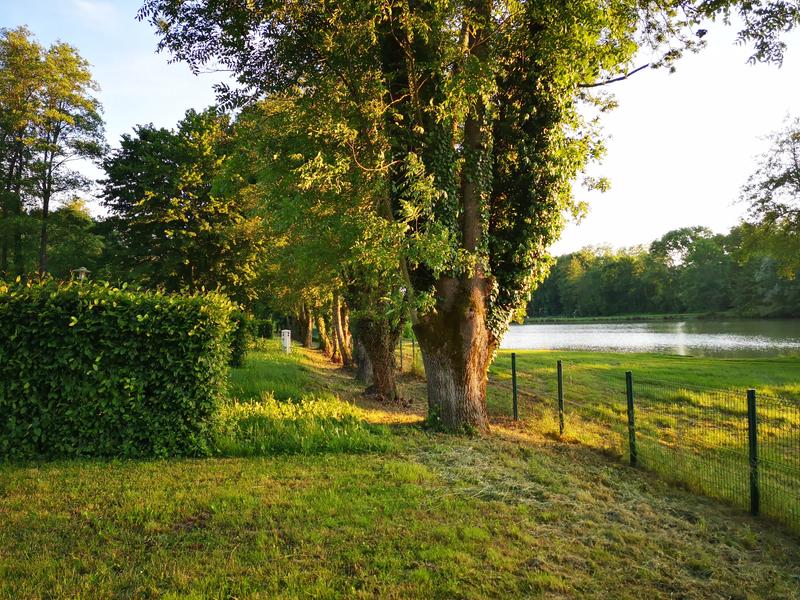 Emplacements vue sur l'étang