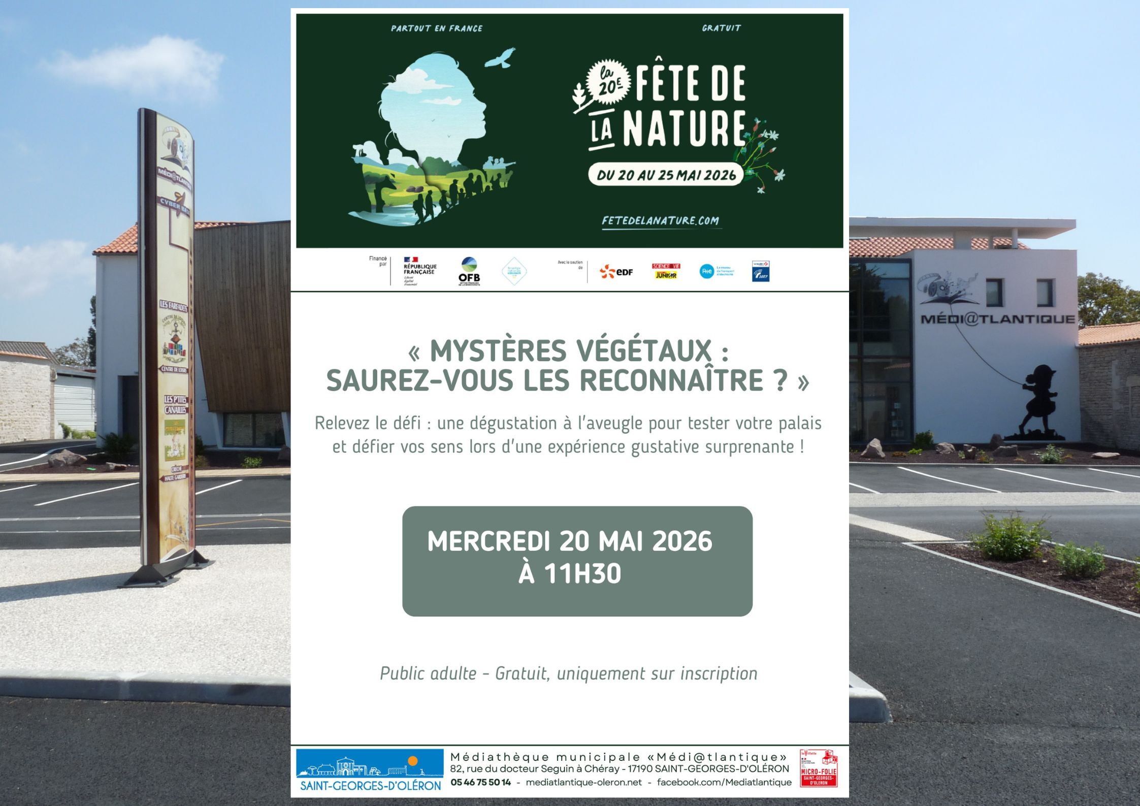 Mystères Végétaux : saurez-vous les reconnaître ?