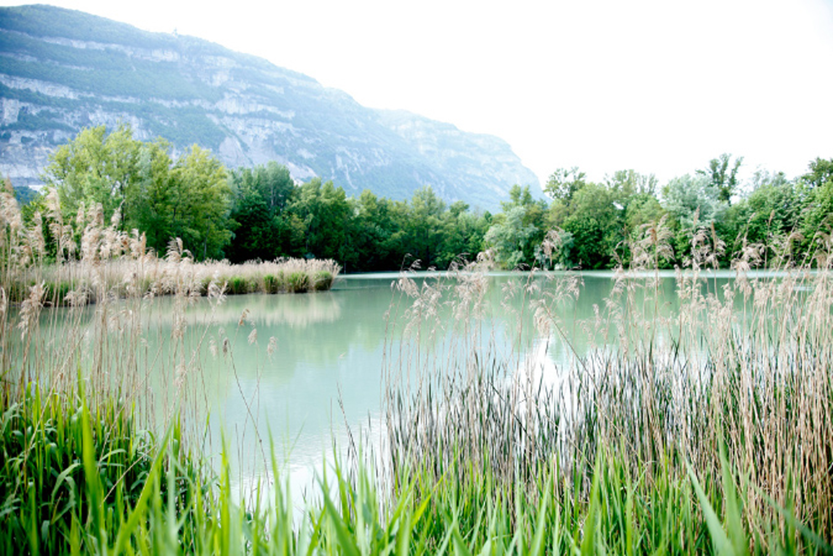 Etangs d'Etrembières