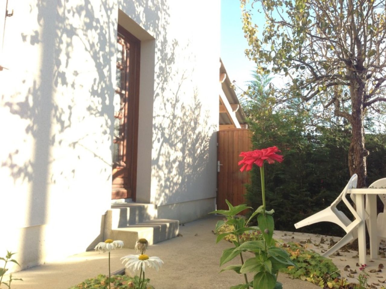 Alfred Nicole - N°1